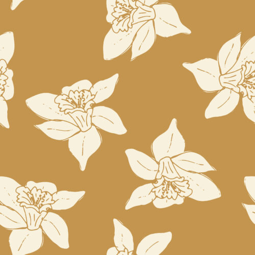 Indy Bloom Designs - Daffodil In Sunshine 01