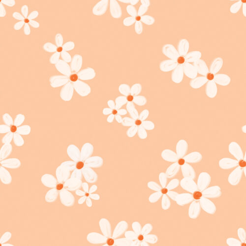 Seamless Gal - Daisies In Peach
