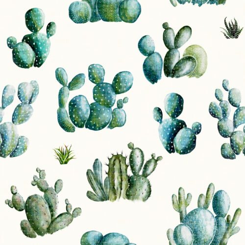 Hip Kid Design - Desert Cactus