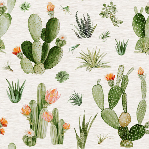 Hip Kid Design - Desert Cactus Blooms