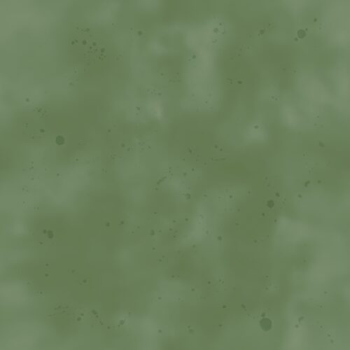 Dirt Bike Check Olive