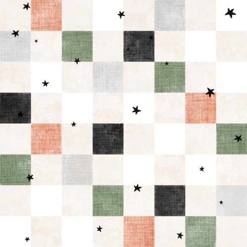 Dirt Bike Check Sage Orange