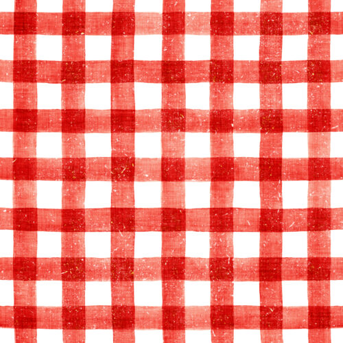 Hip Kid Design - Distressed Red Buffalo Check