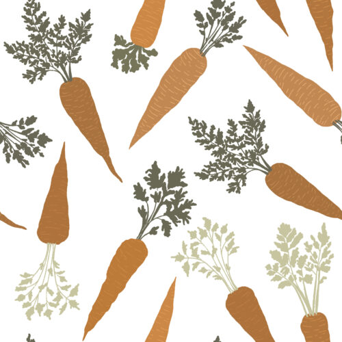 Hip Kid Design - Easter Carrots on White