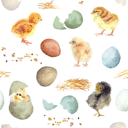 Hip Kid Design - Easter Chicks