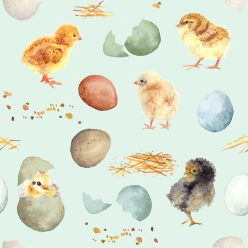 Hip Kid Design - Easter Chicks on Hummingbird Blue