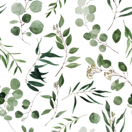 Hip Kid Design - Eucalyptus Leaves Greenery Watercolor Floral