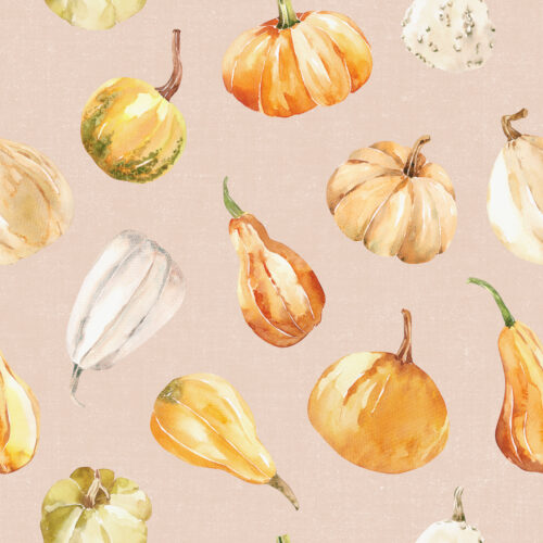 Hip Kid Design - Fall Gourds on Blush Cream