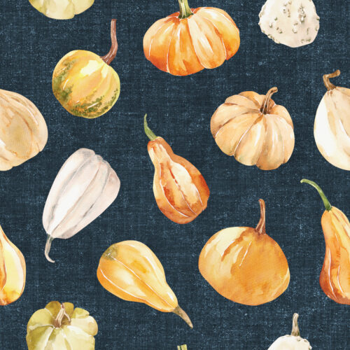 Hip Kid Design - Fall Gourds on Oxford Blue