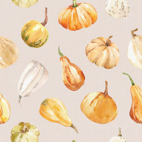 Hip Kid Design - Fall Gourds on Pearl