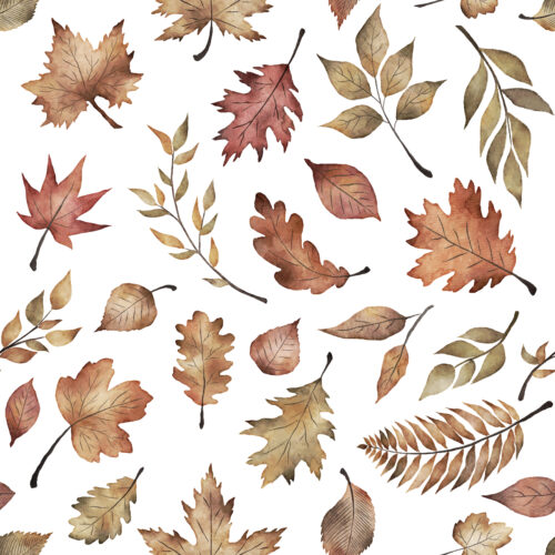 Hip Kid Design - Fall Leaves