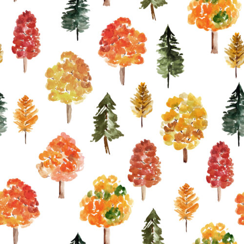 Hip Kid Design - Fall Trees
