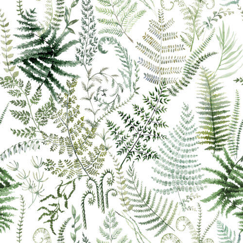 Hip Kid Design - Fern Forest