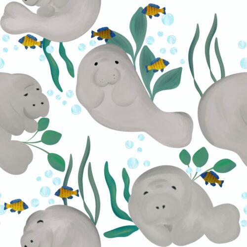 Casey Gowers - Fishy Manatee