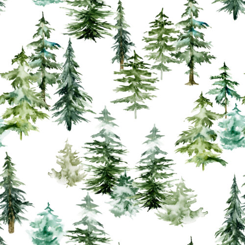 Hip Kid Design - Forest Trees