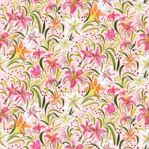 Lindsay Anne - Freckled Day Daylily Pink Sand