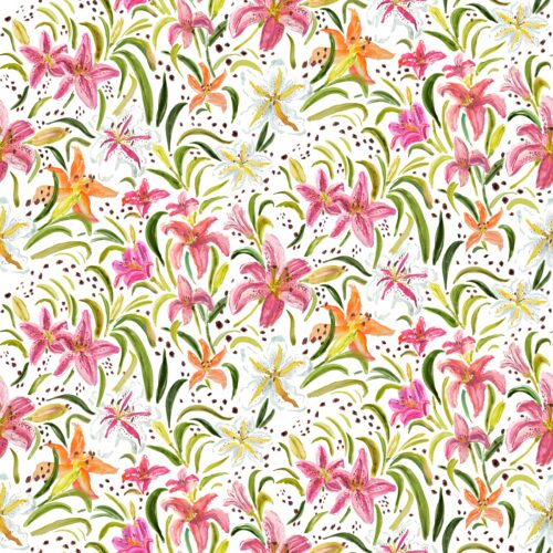 Lindsay Anne - Freckled Daylily Summer White
