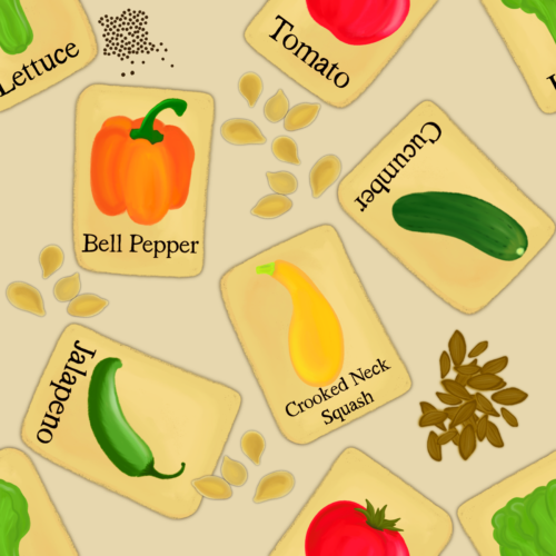 Spring in to Summer - Garden Seeds