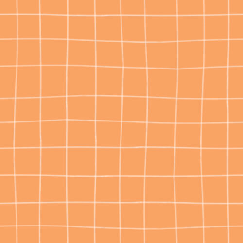 Seamless Gal - Gingham In Apricot