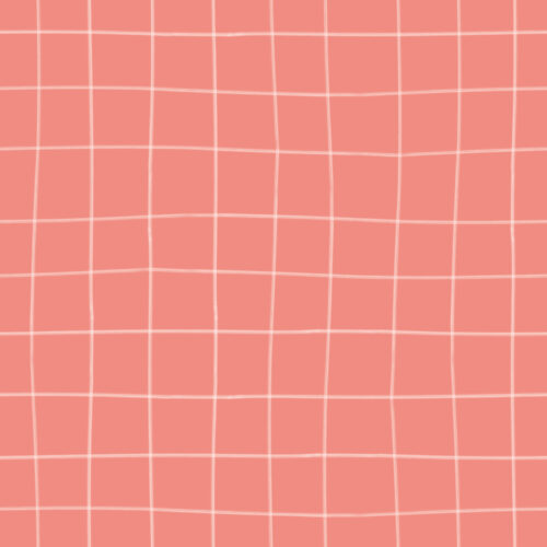 Seamless Gal - Gingham In Pink