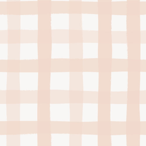 Indy Bloom Designs - Gingham In Blush 01