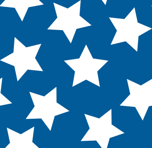 Indy Bloom Designs - Glory Stars In Navy 6in