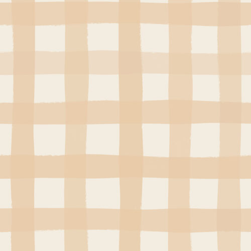 Indy Bloom Designs - Grandmas Gingham In Blush
