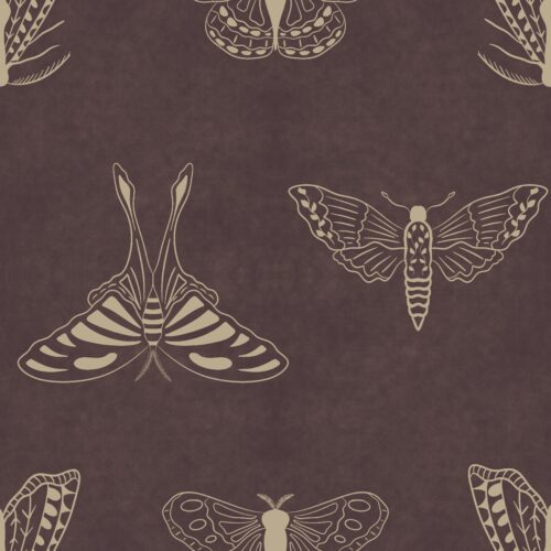 Casey Gowers - Heather Moth