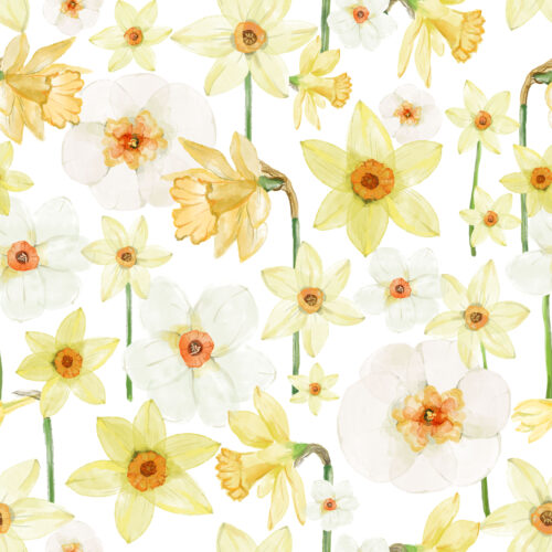 Hip Kid Design - Honey Daffodils