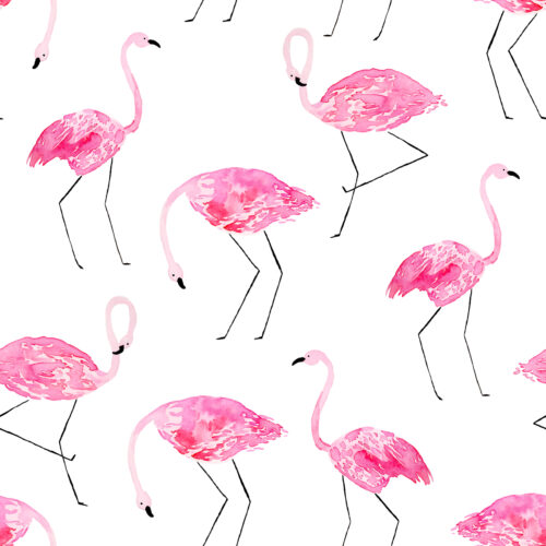 Hip Kid Design - Hot Pink Flamingos