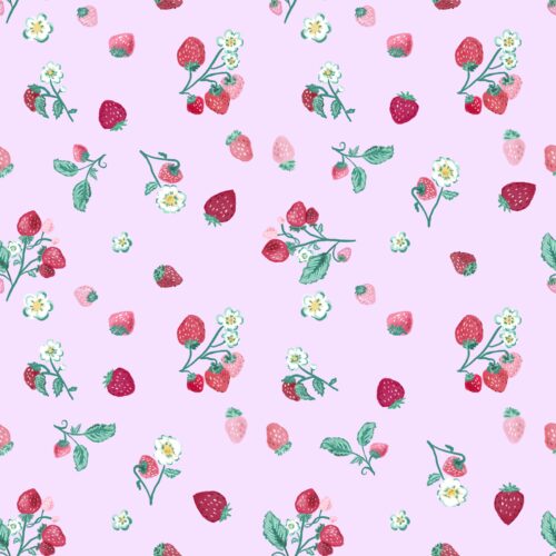 Lindsay Anne - Strawberry Patch Mini Collection 3