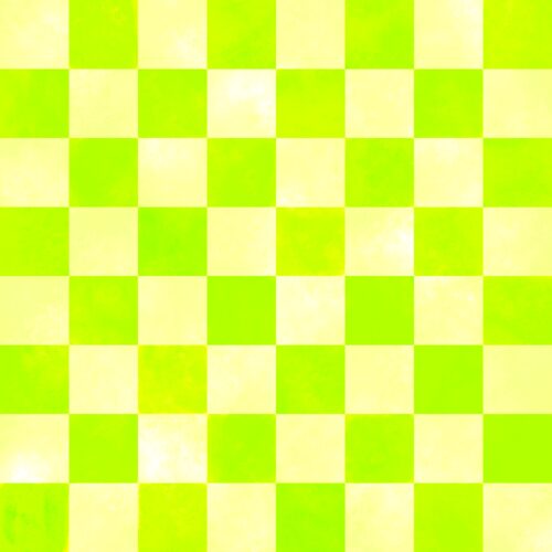 Lindsay Anne - Swim Bright Checks 4