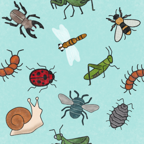 Random Designs - IMG_1995.PNG