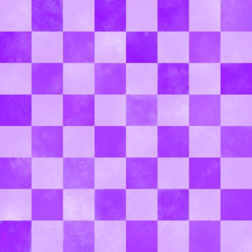 Lindsay Anne - Swim Bright Checks 10