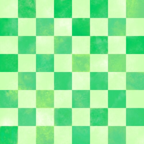 Lindsay Anne - Swim Bright Checks 12