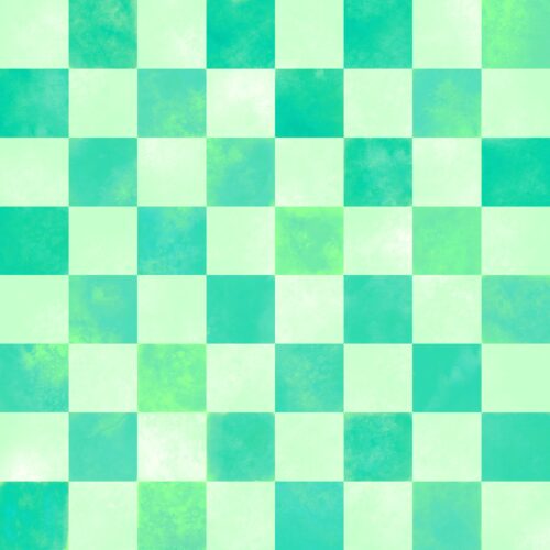 Lindsay Anne - Swim Bright Checks 13