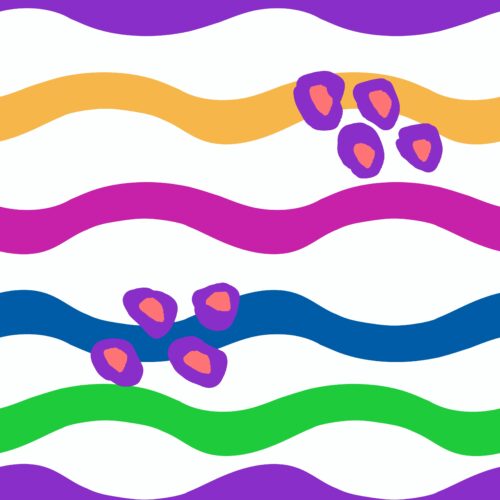 Casey Gowers - Vivid 5