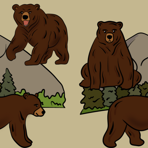 Random Designs - IMG_3339.PNG