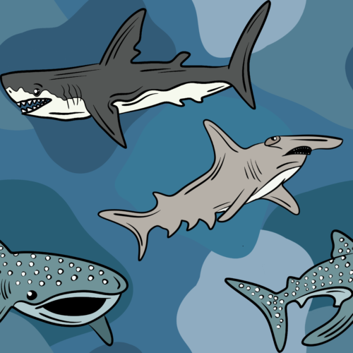 Random Designs - IMG_3373.PNG