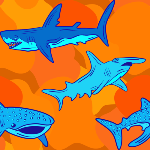 Random Designs - IMG_3513.PNG