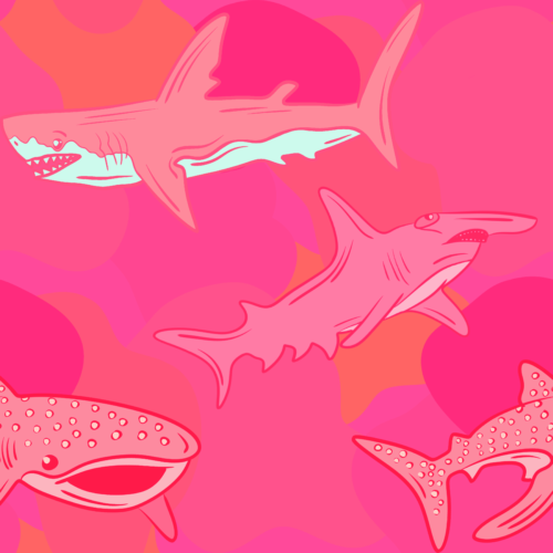 Random Designs - IMG_3516.PNG