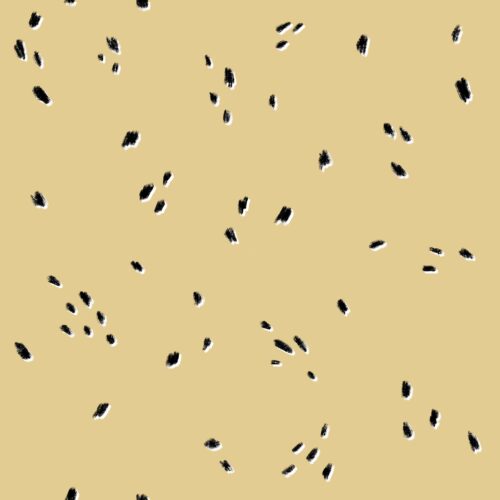 Lindsay Anne - Ink Garden 11