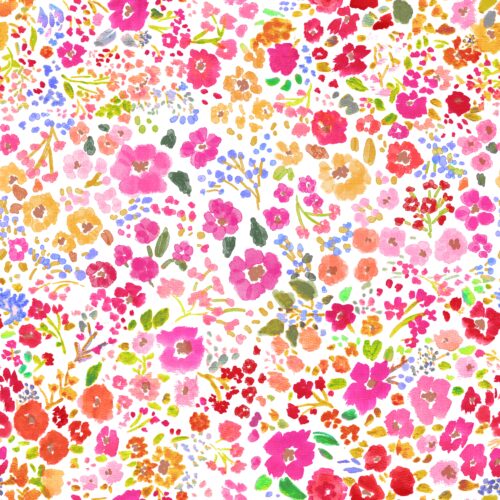 Lindsay Anne - January 2 4