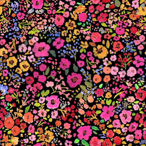 Lindsay Anne - January 2 5