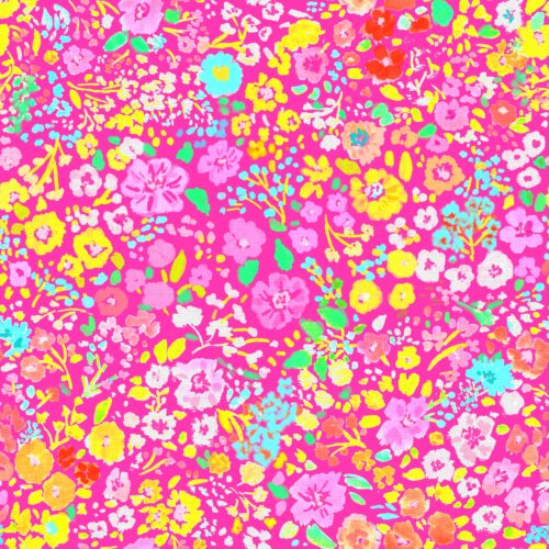 Lindsay Anne - January 2 14