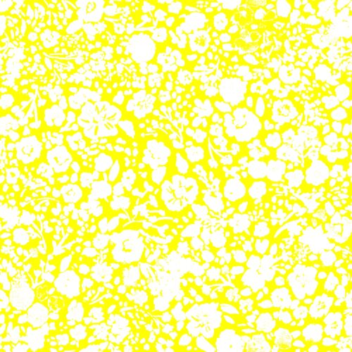 Lindsay Anne - January 2 15