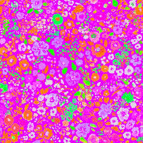 Lindsay Anne - January 2 16