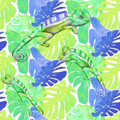 Lindsay Anne - Iguana Tropical 2