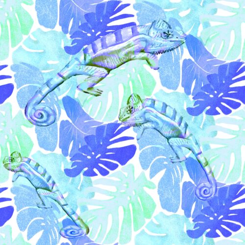 Lindsay Anne - Iguana Tropical 3