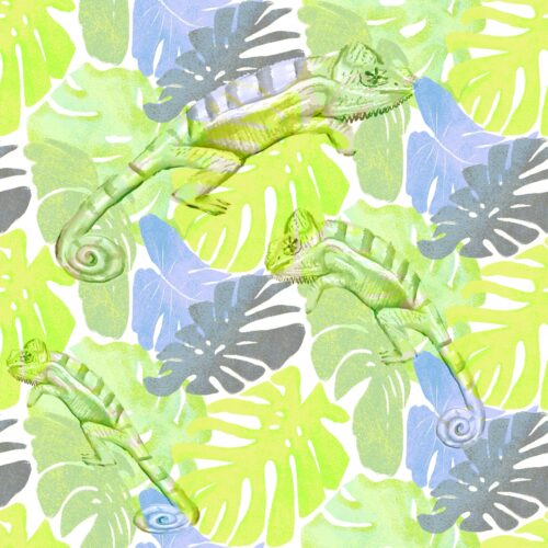 Lindsay Anne - Iguana Tropical 4